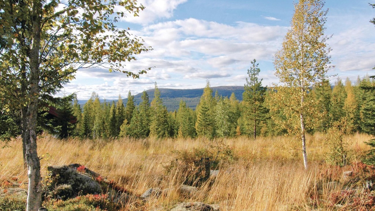 Photo of Others in Stoten