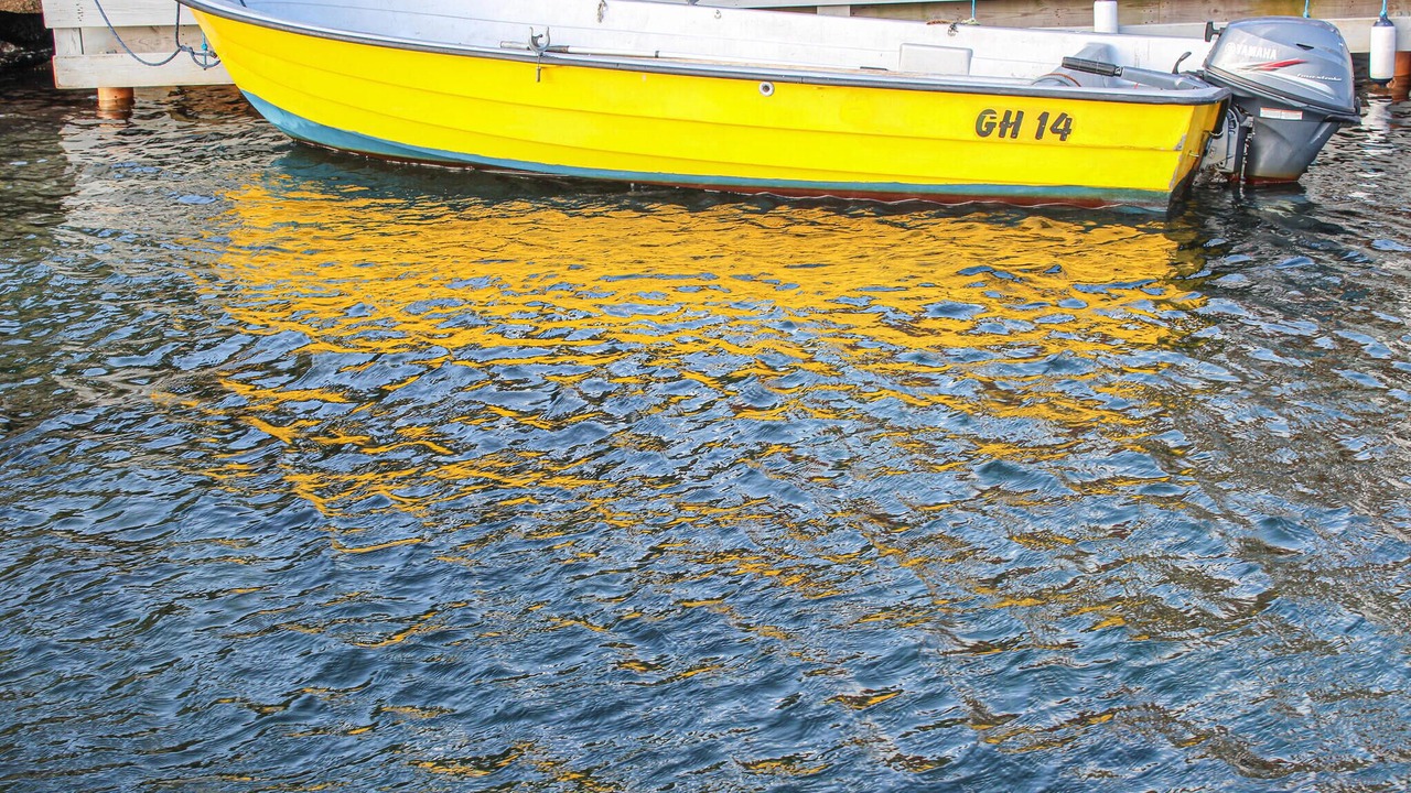 Photo of Others in Lyngdal