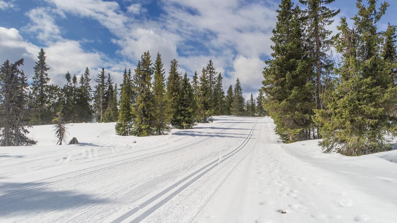 Photo of Others in Sjusjoen