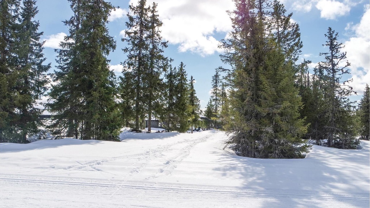 Photo of Others in Sjusjoen