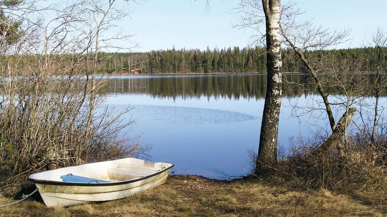 Photo of Others in Kalv