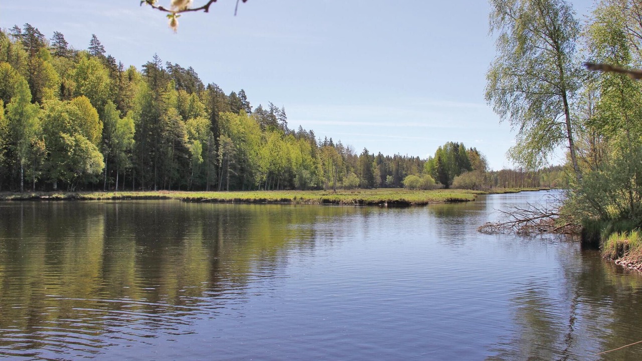 Photo of Others in Tvetaryd