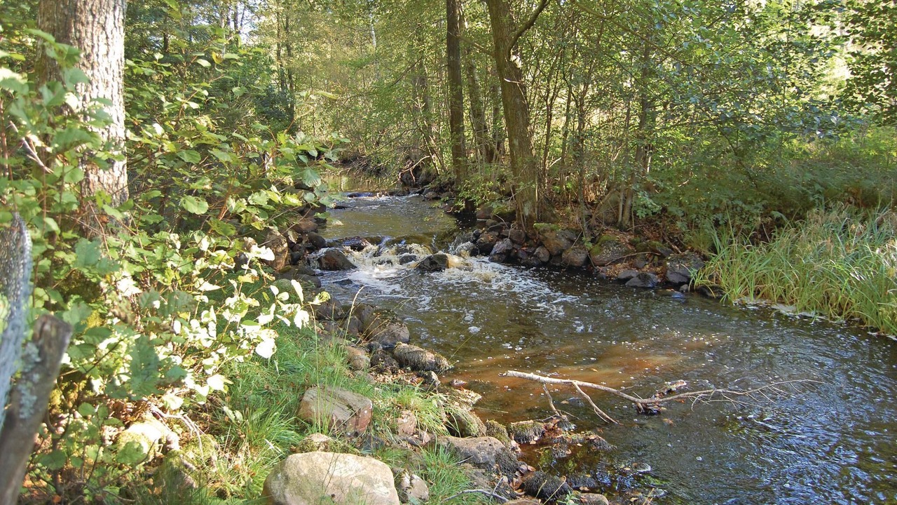 Photo of Others in Drakabygget
