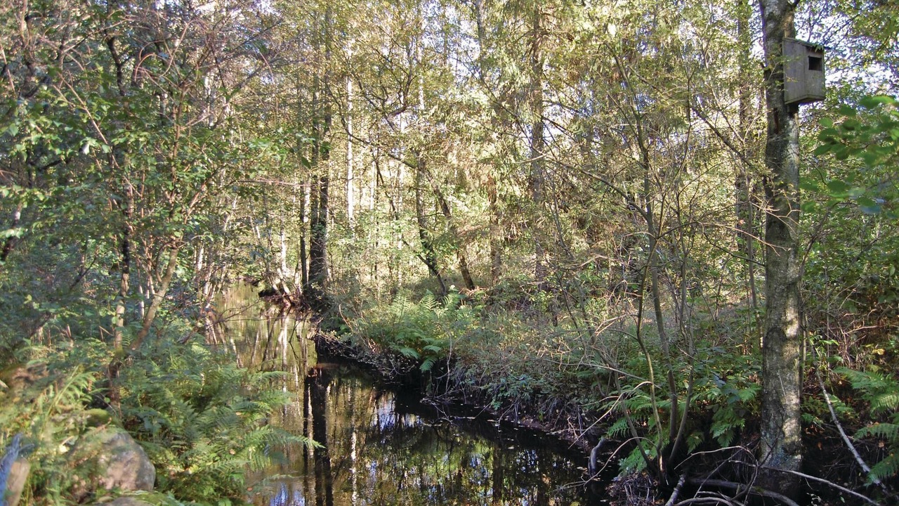Photo of Others in Drakabygget