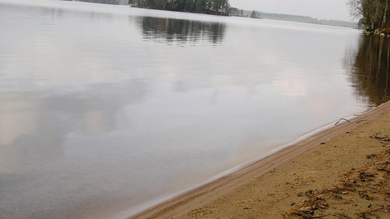 Photo of Others in Mansarp
