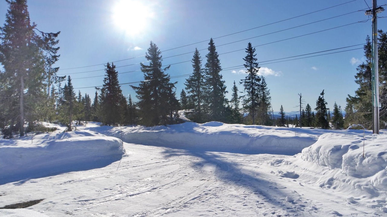 Photo of Others in Sjusjoen