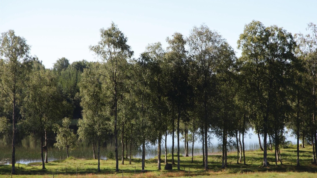 Photo of Others in Vaggeryd Municipality