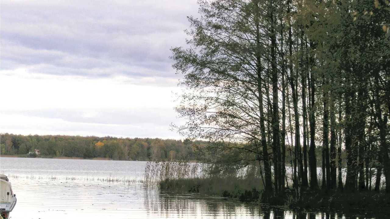 Photo of Others in Torne