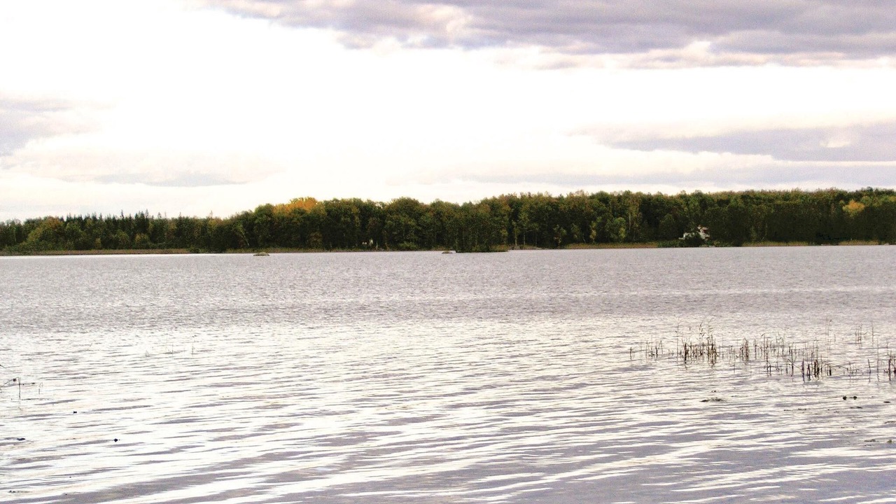 Photo of Others in Torne