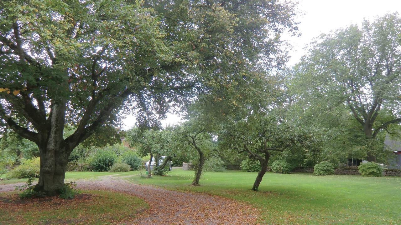 Photo of Others in Borgholm