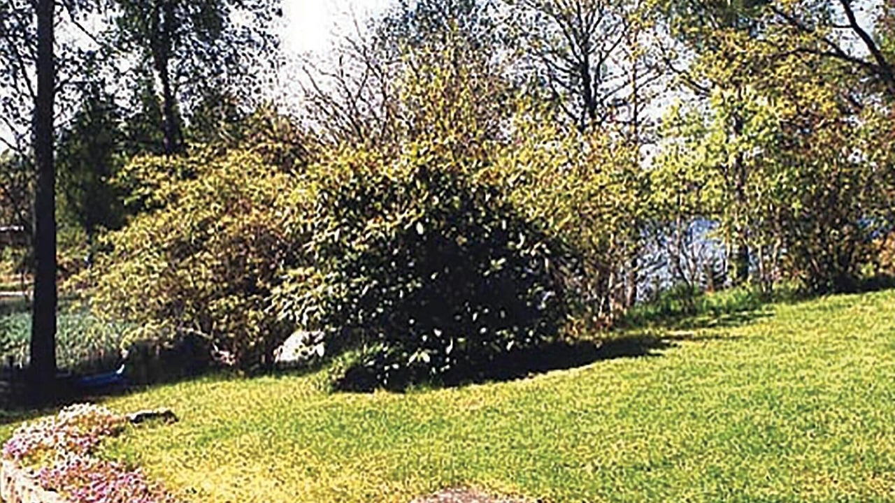 Photo of Others in Holmsjo