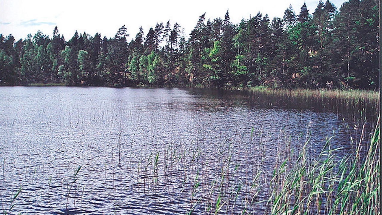 Photo of Others in Skepplanda