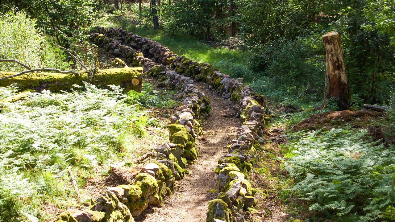 Photo of Others in Skepplanda