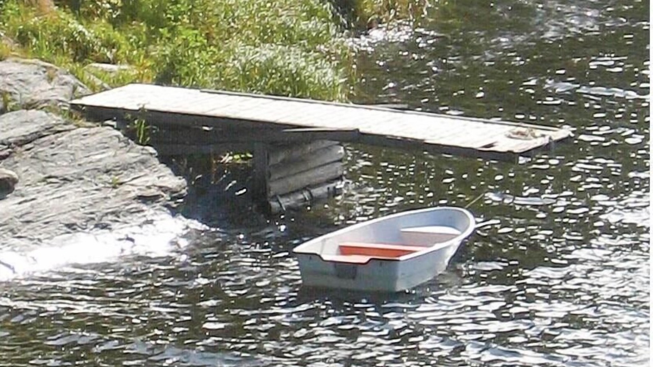 Photo of Others in Animskog