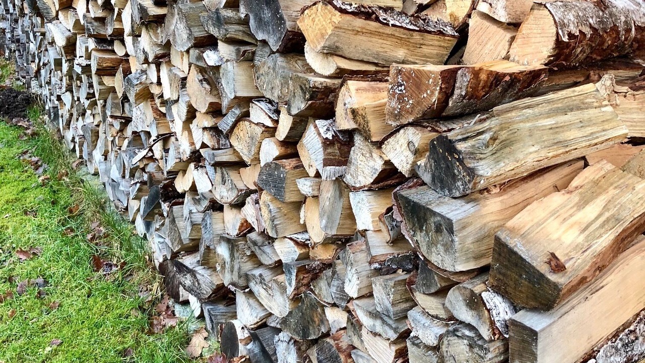 Photo of Outdoor in Traryd