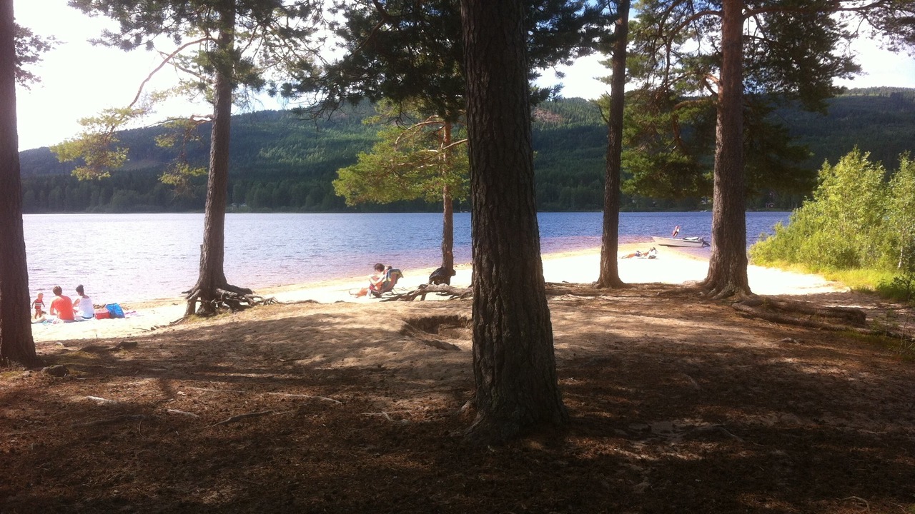 Photo of Others in Overbyn