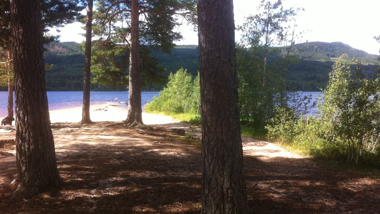 Photo of Outdoor in Overbyn