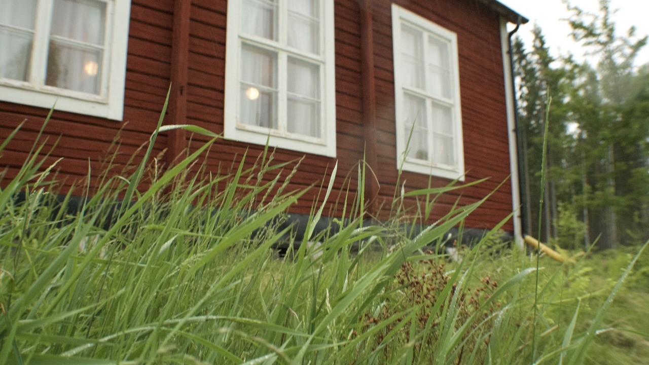 Photo of Others in Overbyn