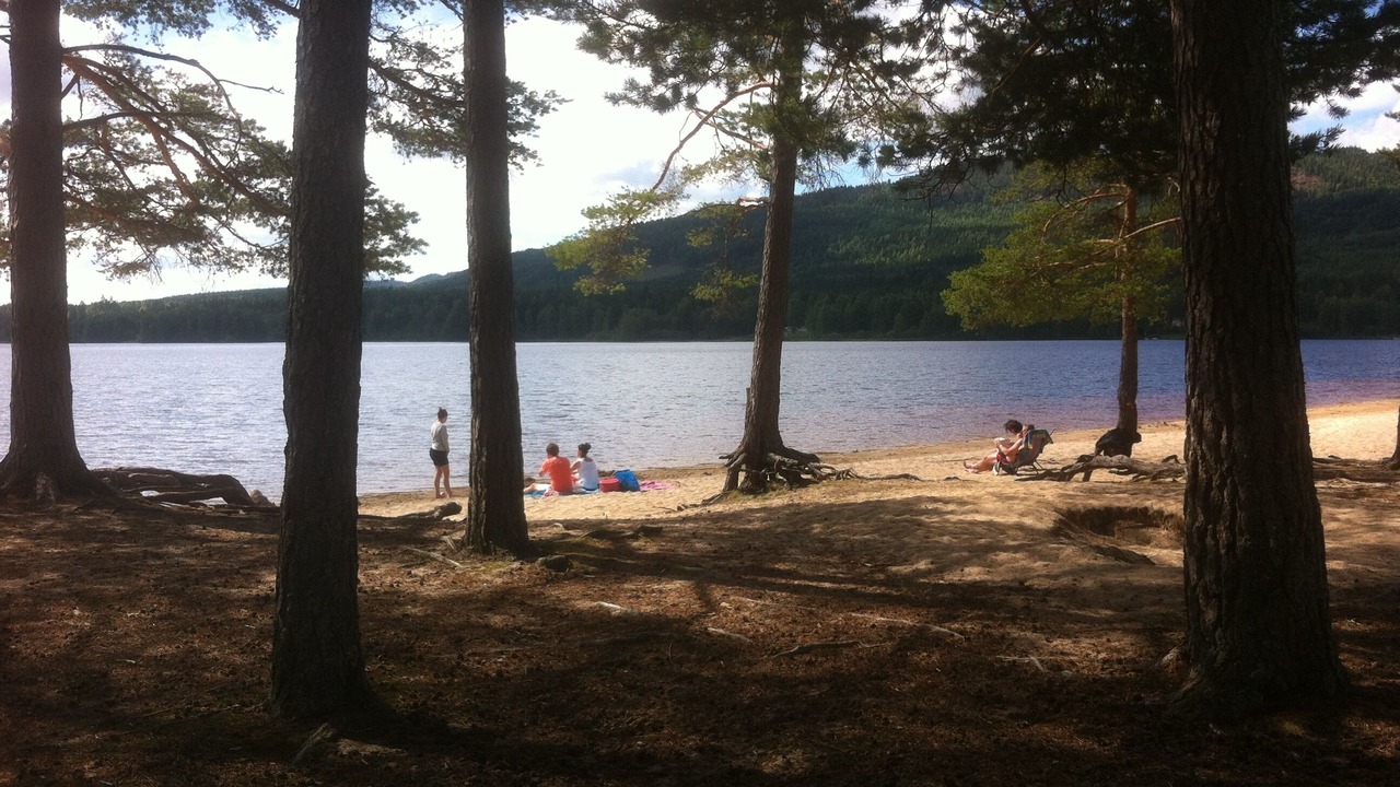 Photo of Others in Overbyn