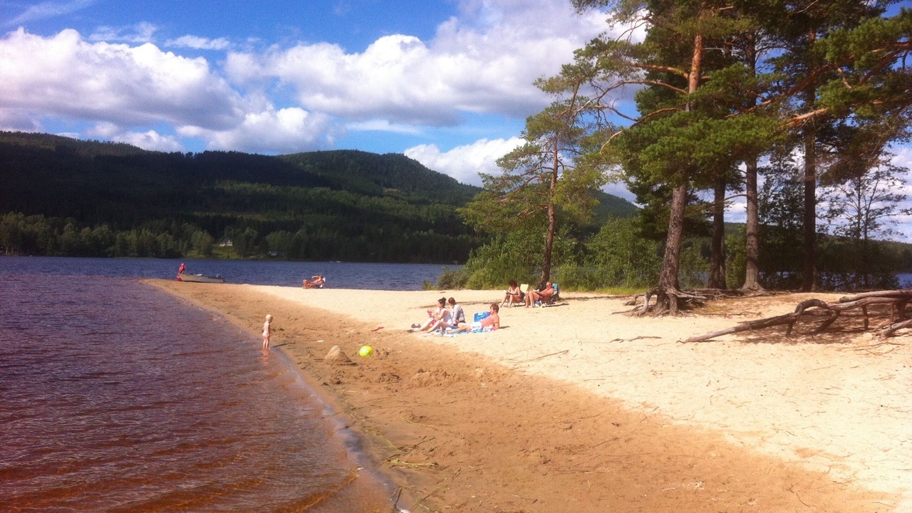 Photo of Others in Overbyn