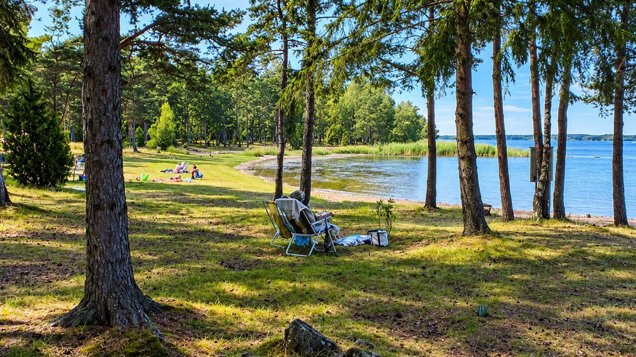 Photo of Outdoor in Monsteras
