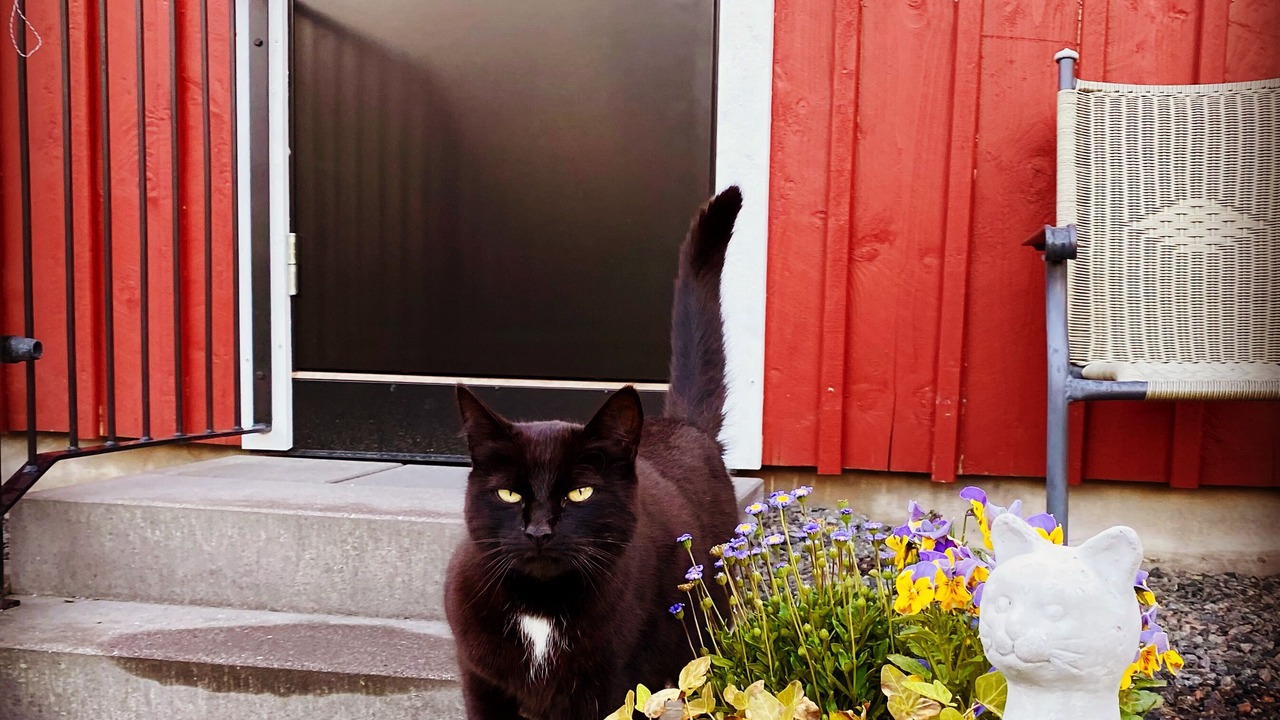 Photo of Outdoor in Ullared