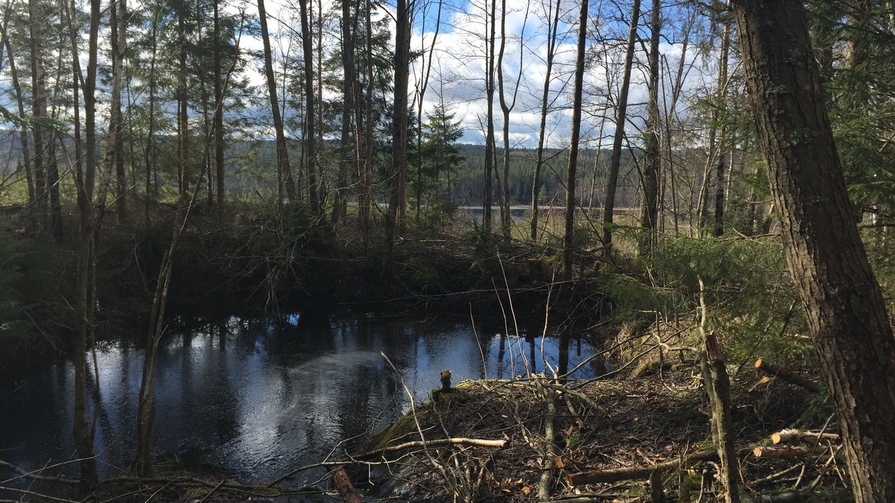 Photo of Outdoor in Vetlanda