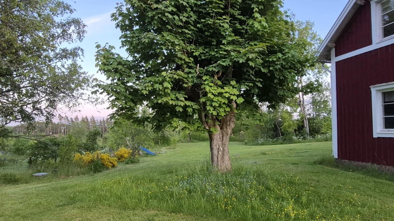 Photo of Outdoor in Vetlanda
