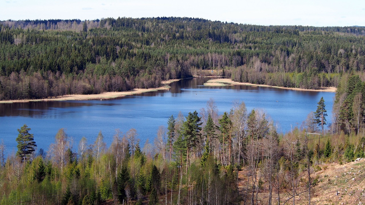 Photo of Others in Vetlanda