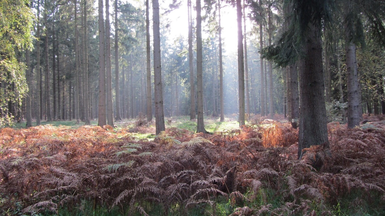 Photo of Outdoor in Vetlanda
