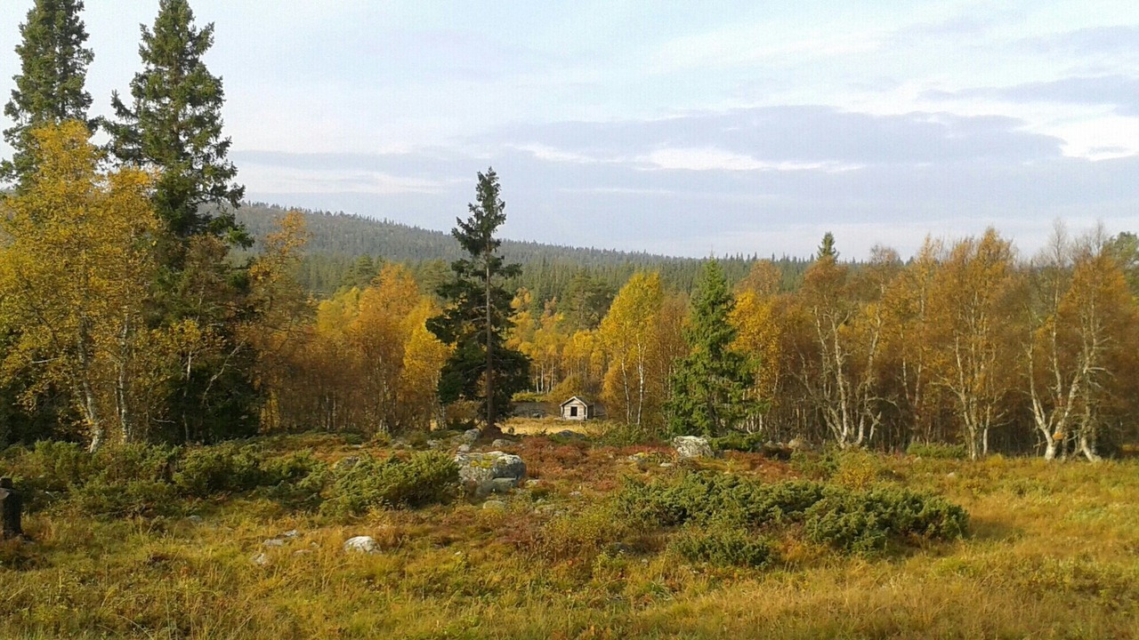 Photo of Outdoor in Sarna