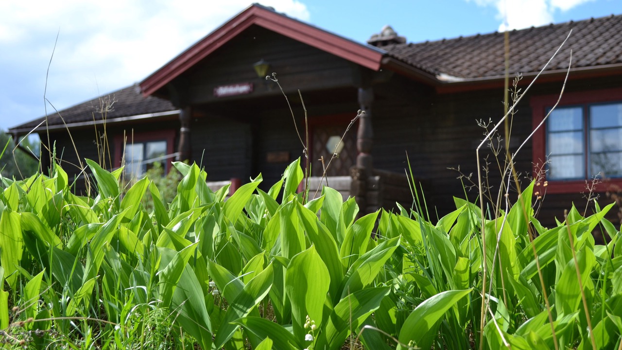 Photo of Outdoor in Rattvik