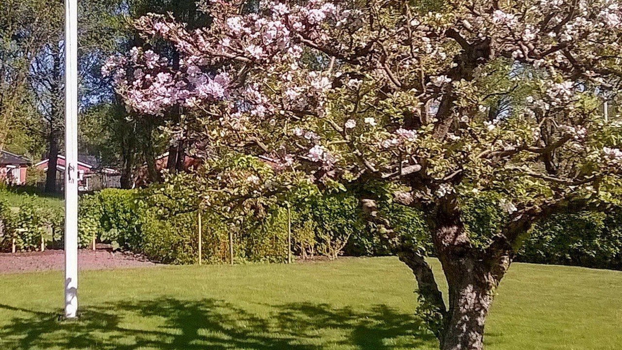 Photo of Outdoor in Lerum