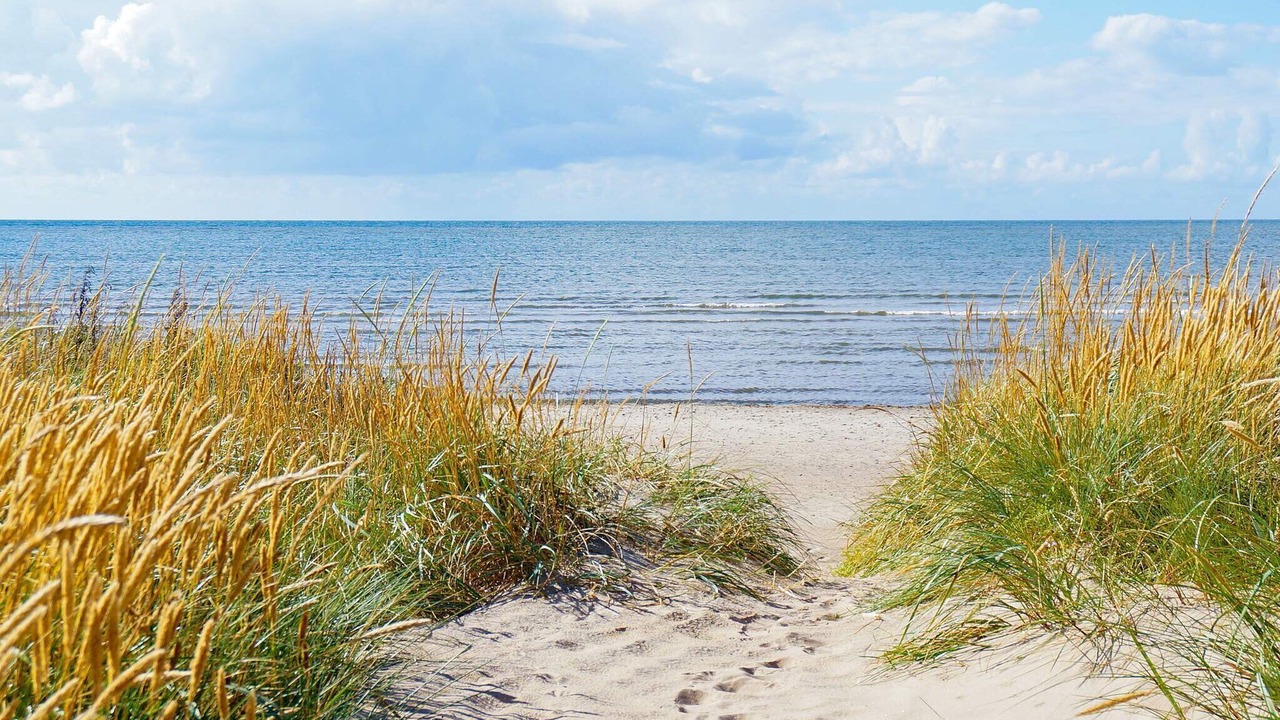 Photo of Others in Falkenberg