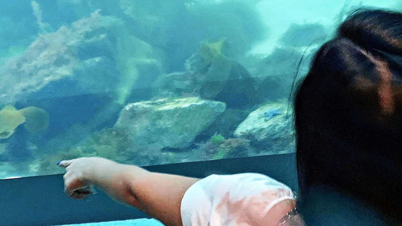 Photo of Others in Spangereid