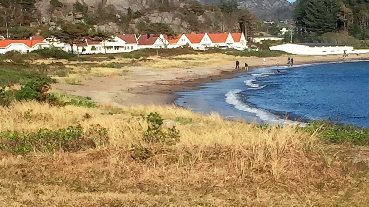 Photo of Outdoor in Spangereid