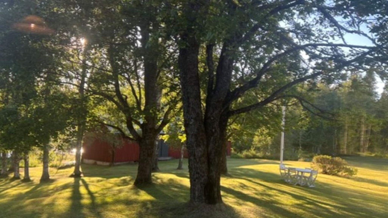 Photo of Outdoor in Grasmark