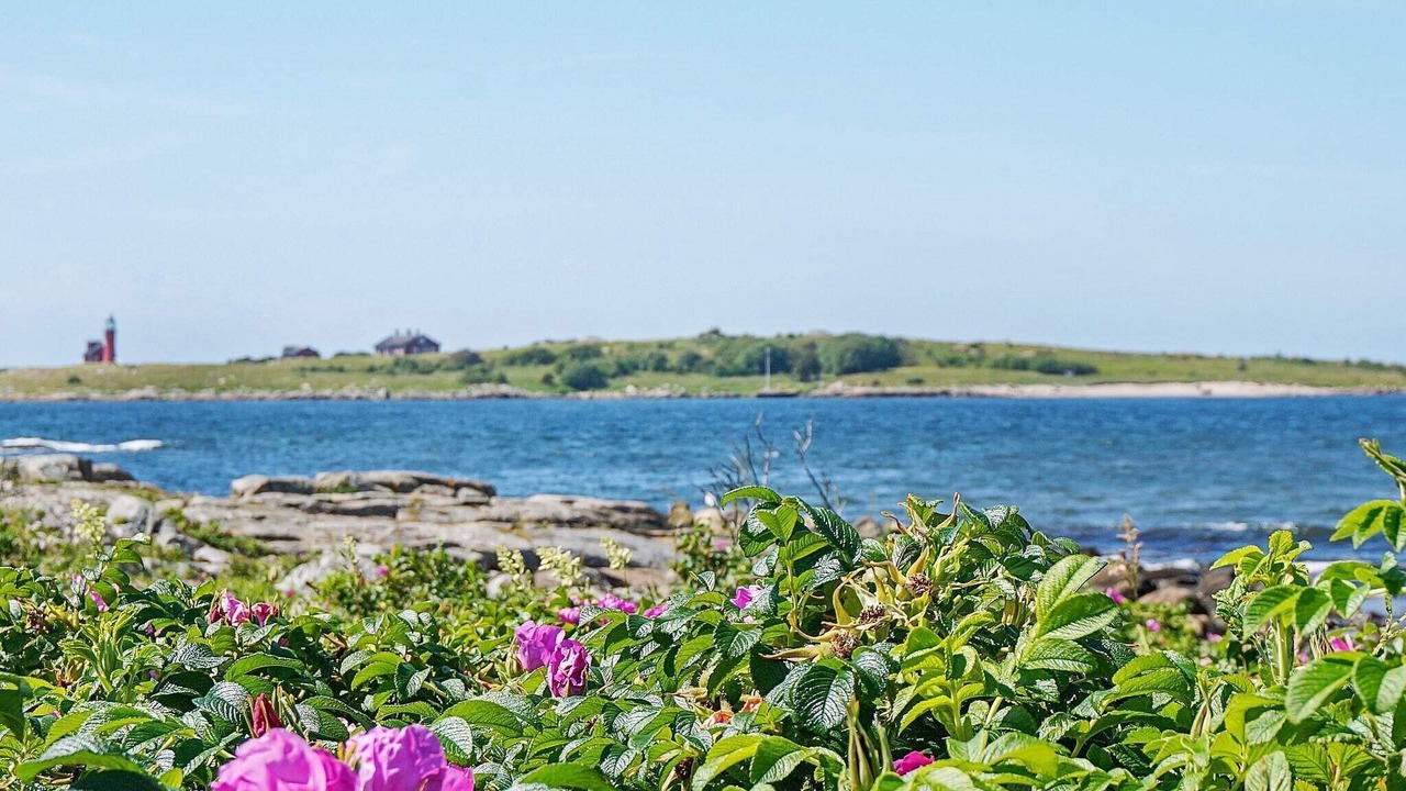 Photo of Others in Falkenberg