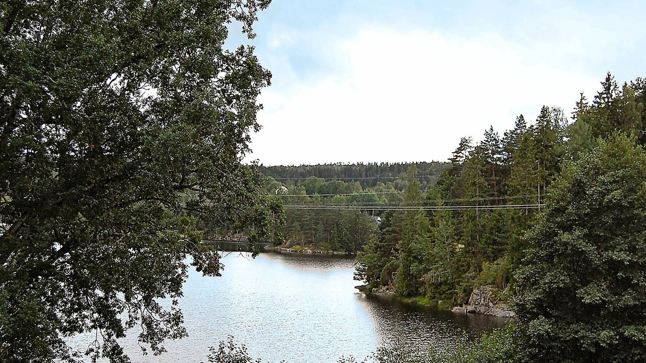 Photo of Others in Bullaren