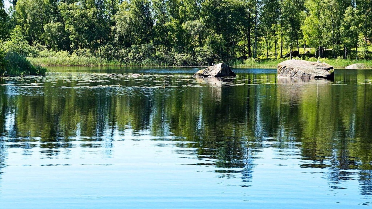Photo of Others in Sturefors