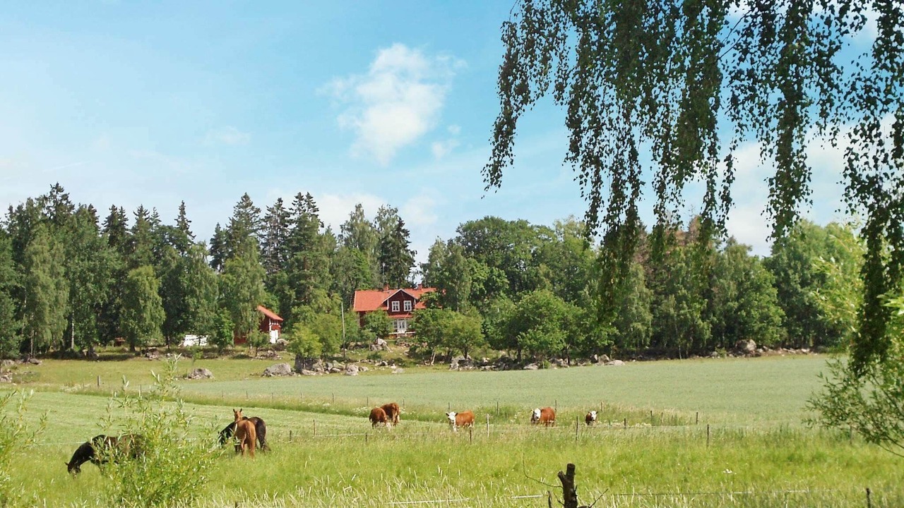 Photo of Others in Bocklinge