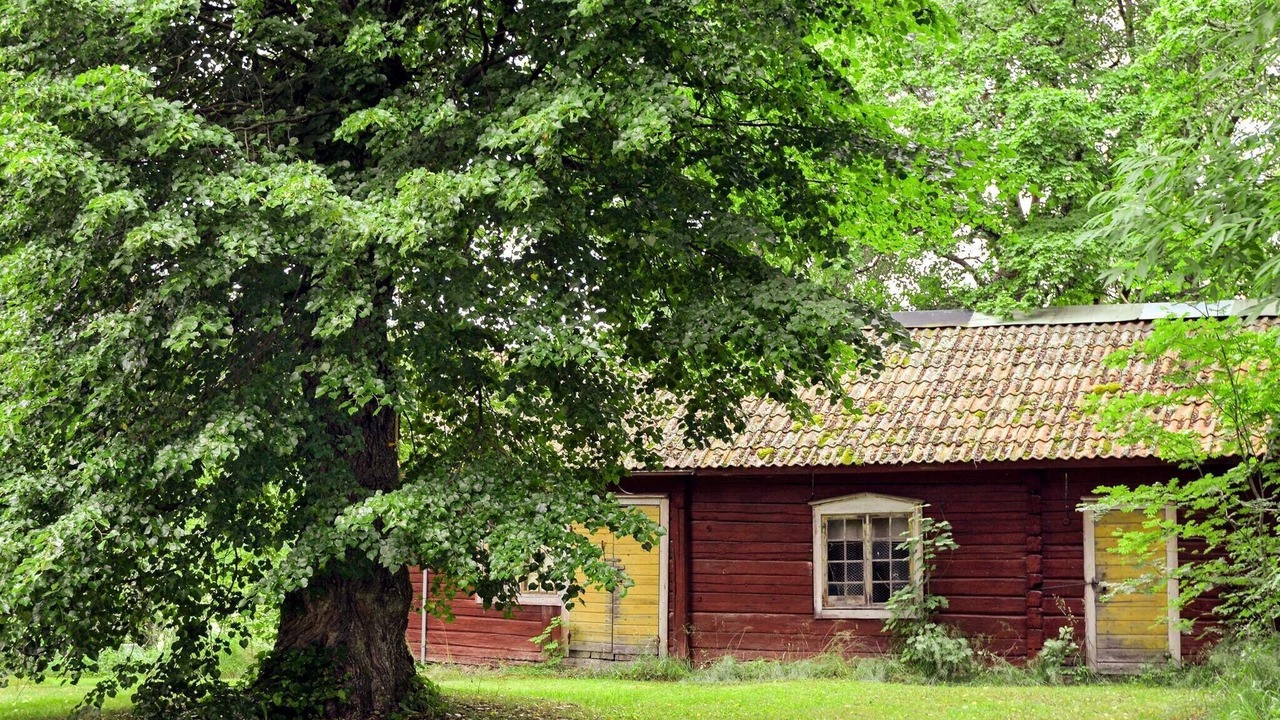 Photo of Outdoor in Bocklinge