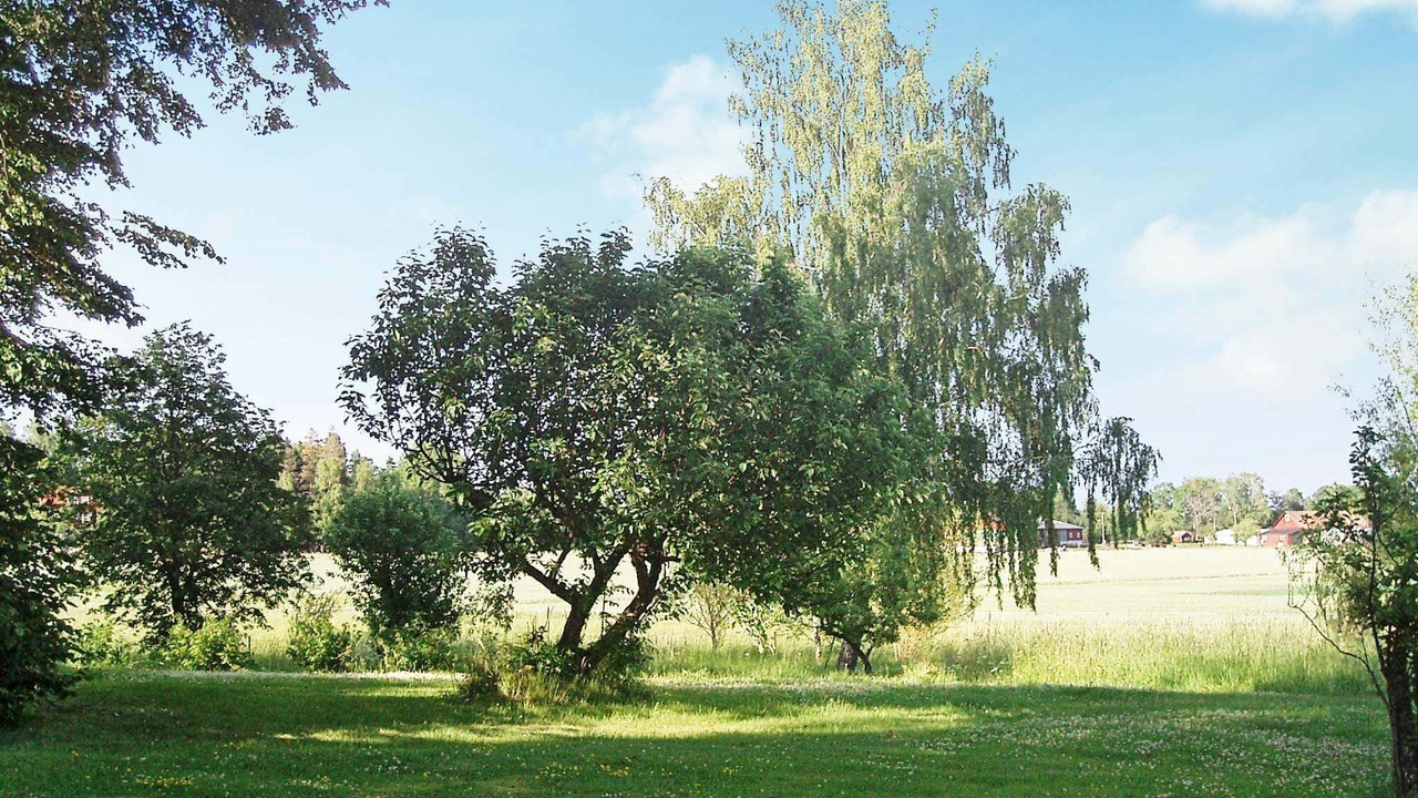 Photo of Others in Bocklinge