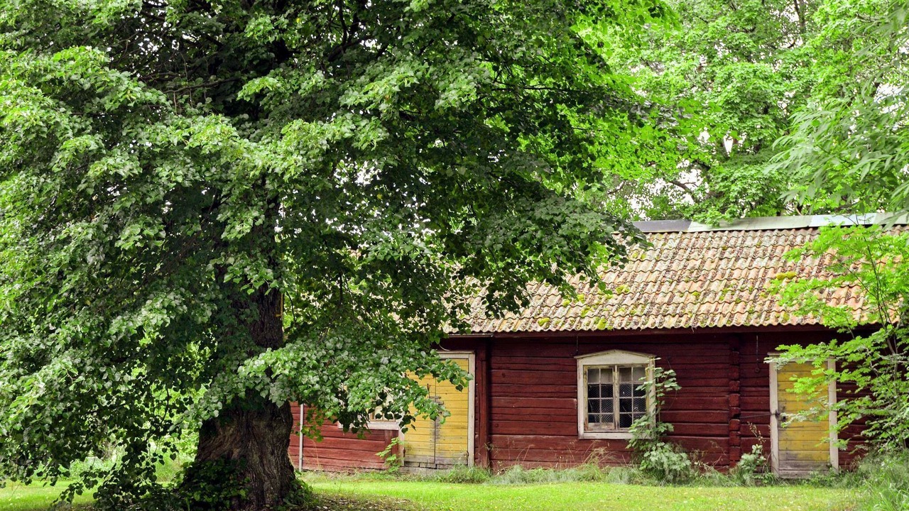 Photo of Outdoor in Bocklinge