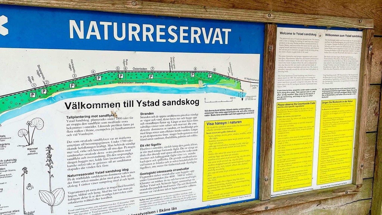 Photo of Outdoor in Ystad