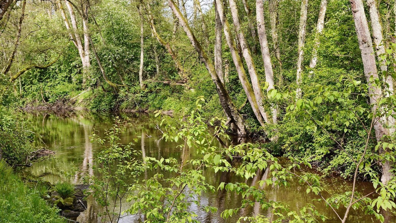 Photo of Outdoor in Stravalla