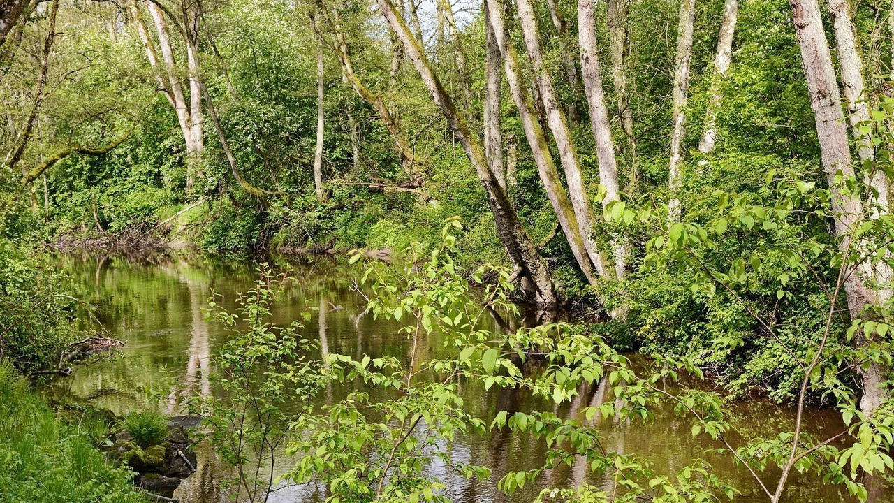Photo of Outdoor in Stravalla