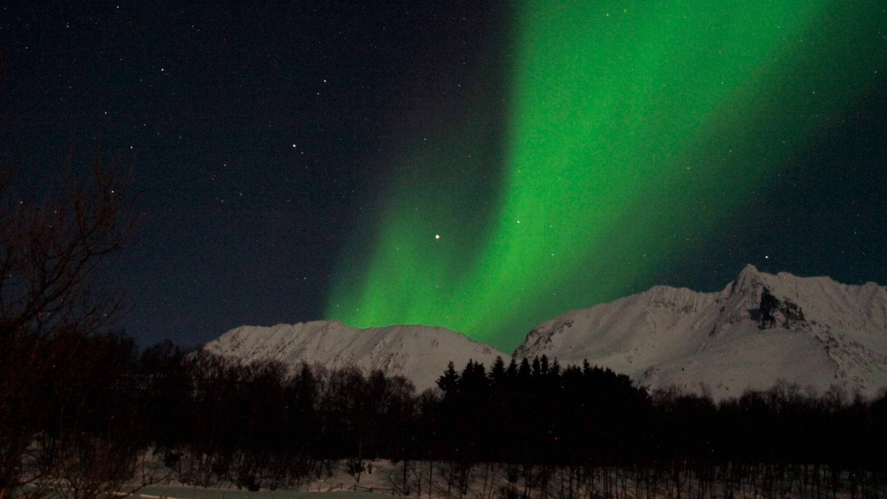 Photo of Others in Lyngen