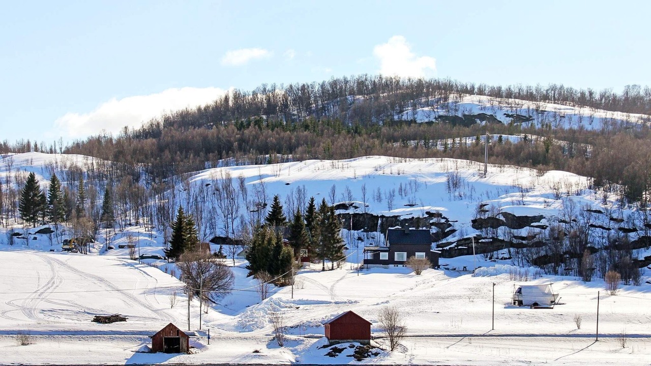Photo of Others in Lyngen