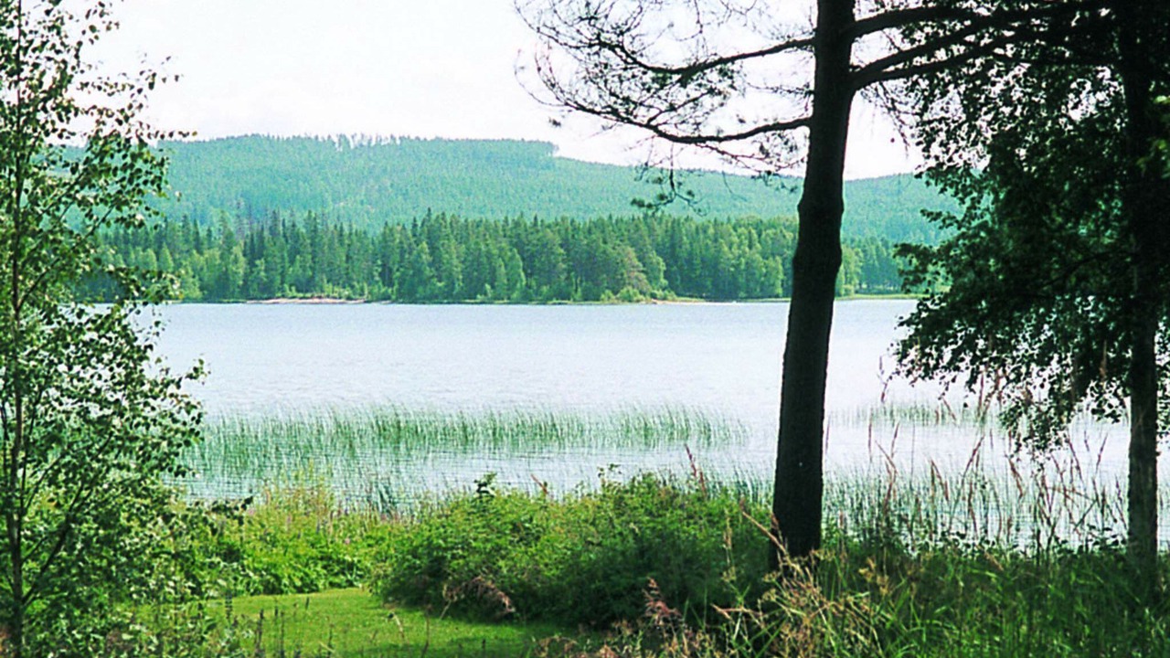 Photo of Others in Overbyn